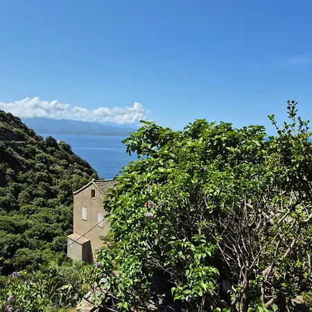 Vue Sur * Nonza
